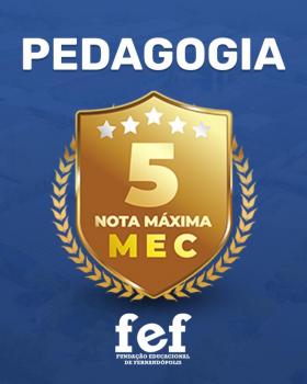 Imagem da notícia: Curso de Pedagogia da FEF recebe nota máxima em reconhecimento pelo MEC