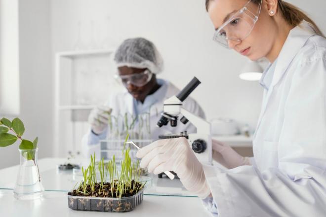 Pós-Graduação - Fundação Educacional de Fernandópolis -
                Química Ambiental